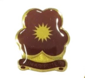 Tunas Puteri Lencana Besi